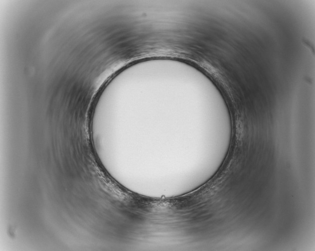 X0000101681230200807311512