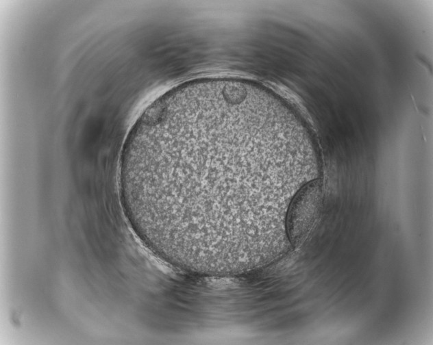 X0000101681231200807311512