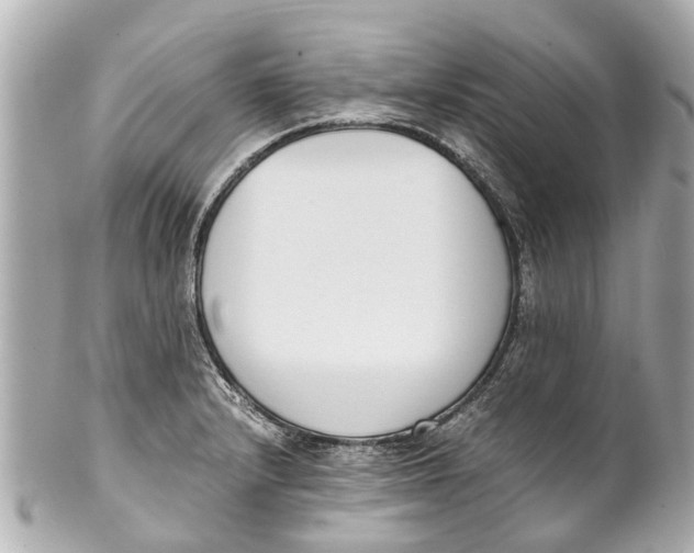 X0000101681232200807311512