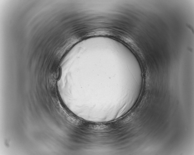 X0000101681233200807311512