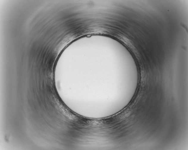 X0000101681234200807311512