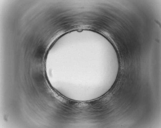 X0000101681235200807311512