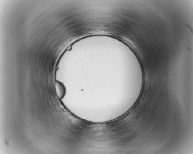 X0000101681236200807311512