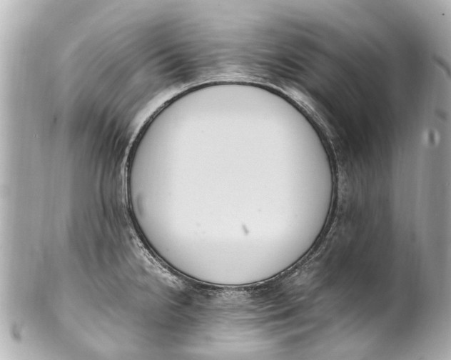 X0000101681238200807311512