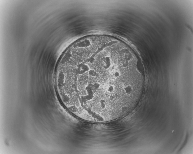 X0000101681239200807311512