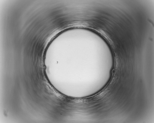 X0000101681240200807311512