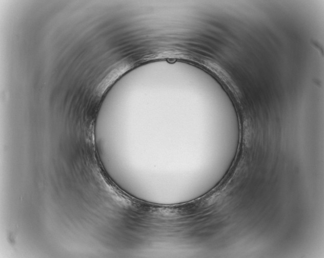 X0000101681241200807311512