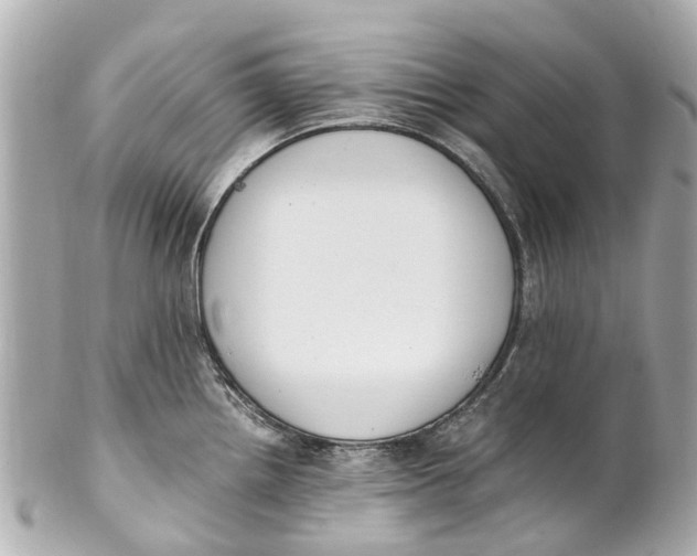 X0000101681242200807311512