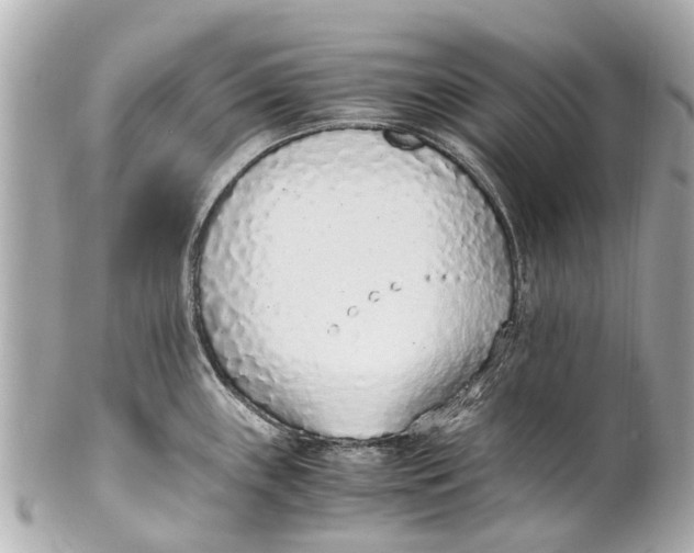 X0000101681243200807311512