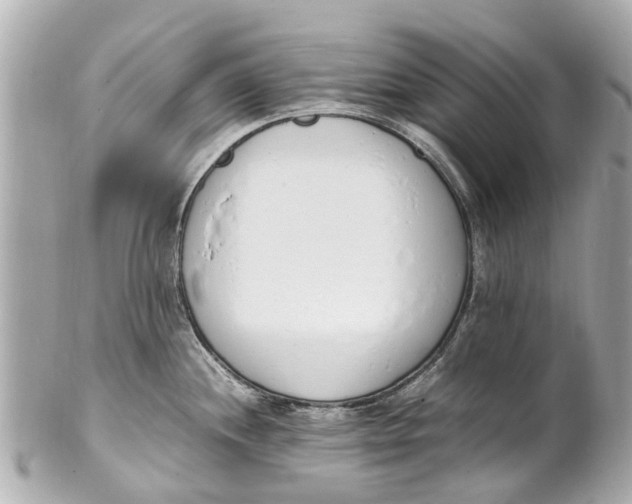 X0000101681244200807311512