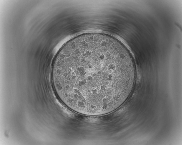 X0000101681245200807311512