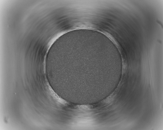 X0000101681246200807311512