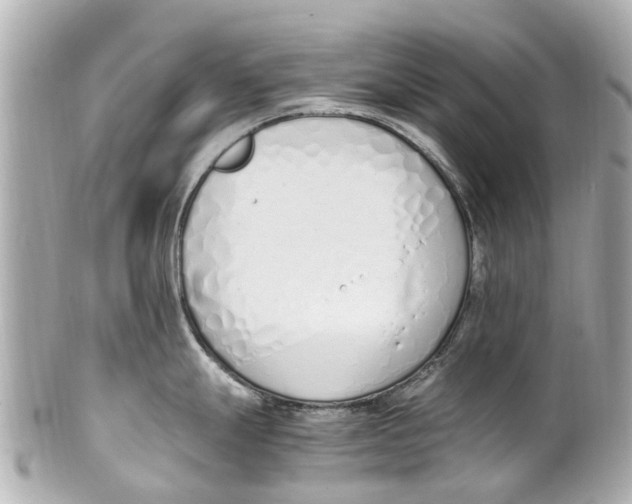 X0000101681247200807311512