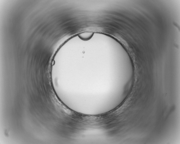 X0000101681248200807311512