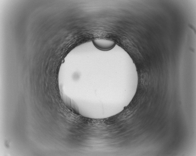 X0000101681249200807311511