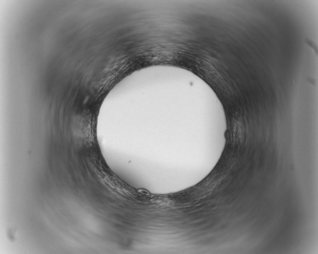 X0000101681250200807311511