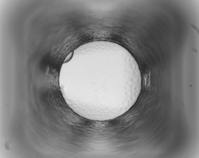 X0000101681251200807311511