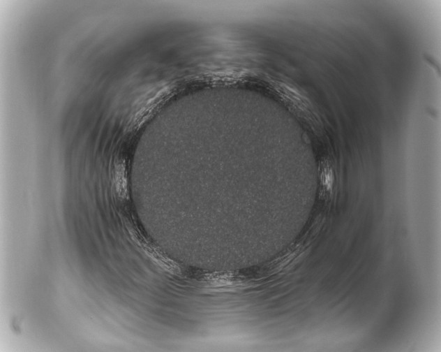 X0000101681252200807311511