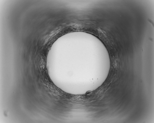 X0000101681253200807311511