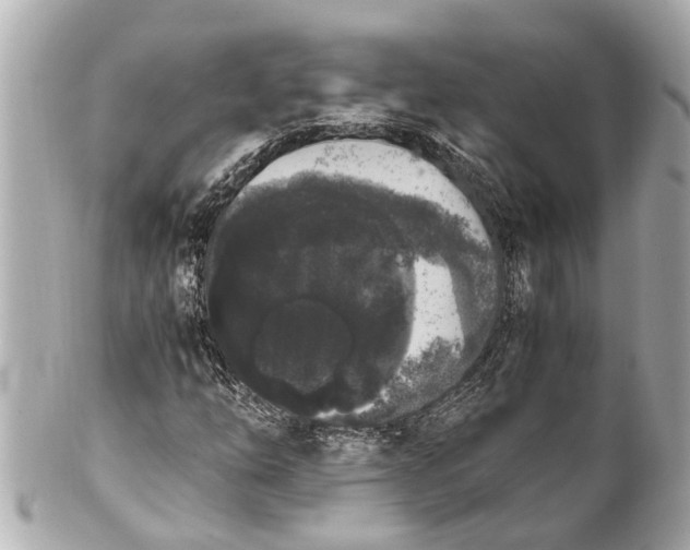 X0000101681254200807311511