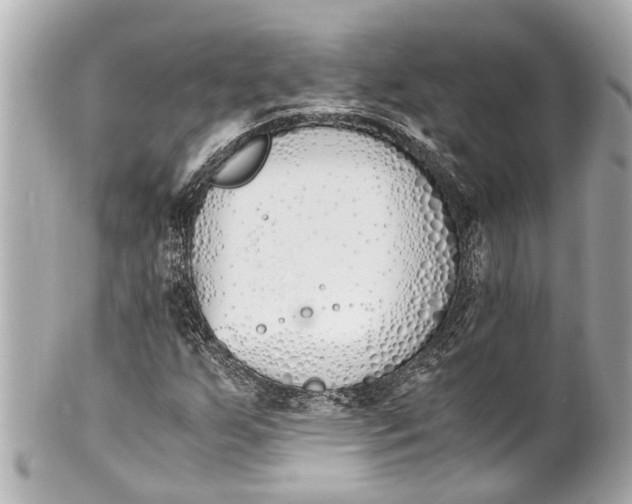 X0000101681255200807311511