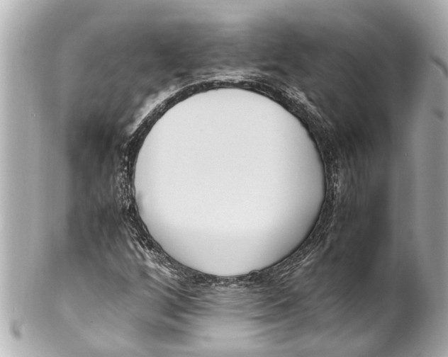 X0000101681256200807311511