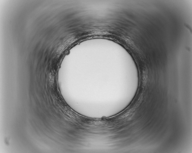 X0000101681257200807311511