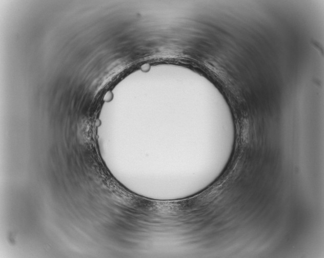 X0000101681258200807311511