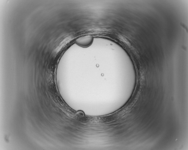 X0000101681259200807311511