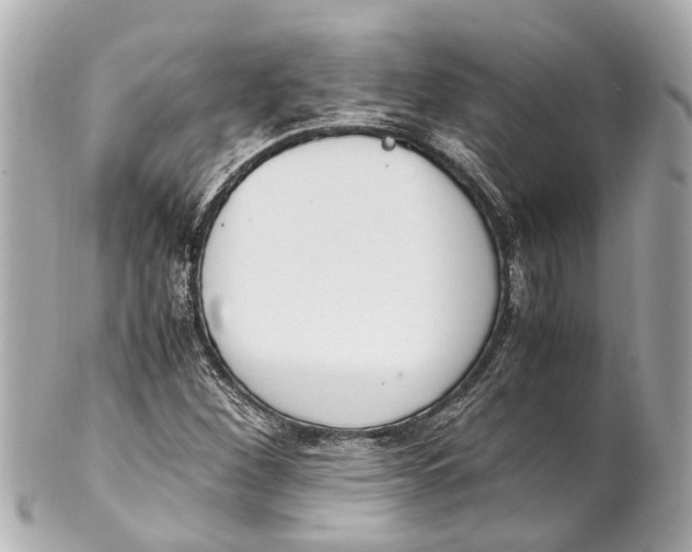 X0000101681260200807311511