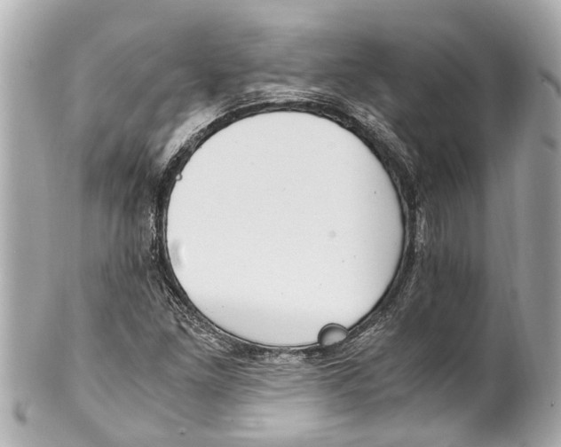 X0000101681261200807311511