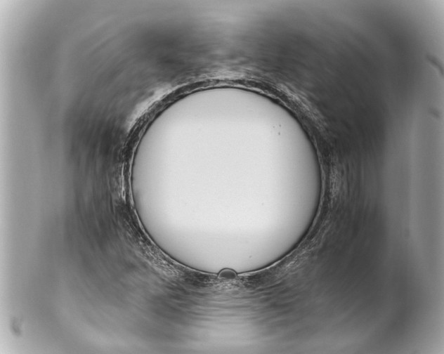 X0000101681262200807311511