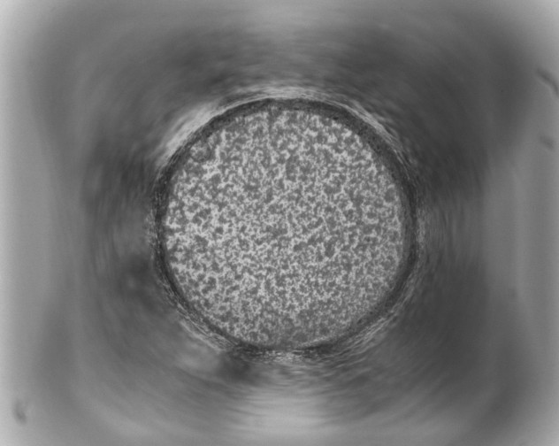 X0000101681263200807311511