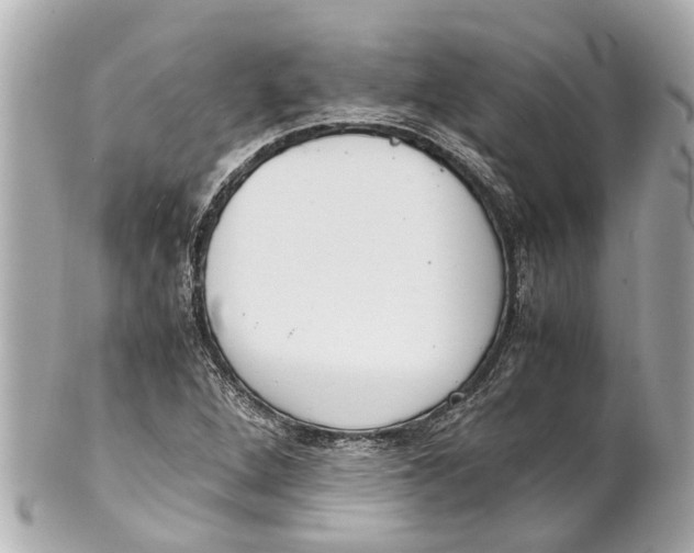 X0000101681264200807311511