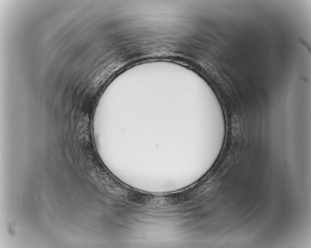 X0000101681265200807311511