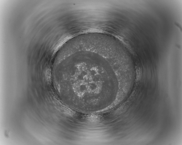 X0000101681266200807311511