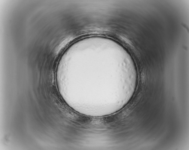 X0000101681267200807311511