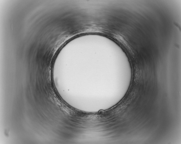 X0000101681268200807311511