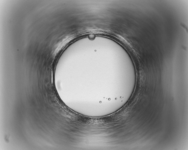 X0000101681269200807311511