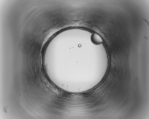 X0000101681270200807311511