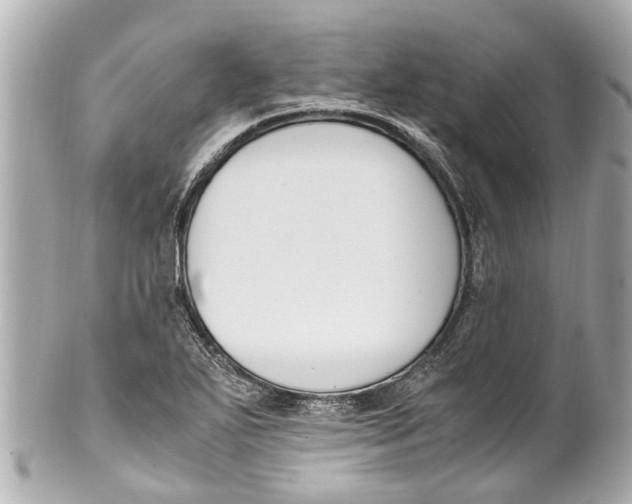 X0000101681271200807311511