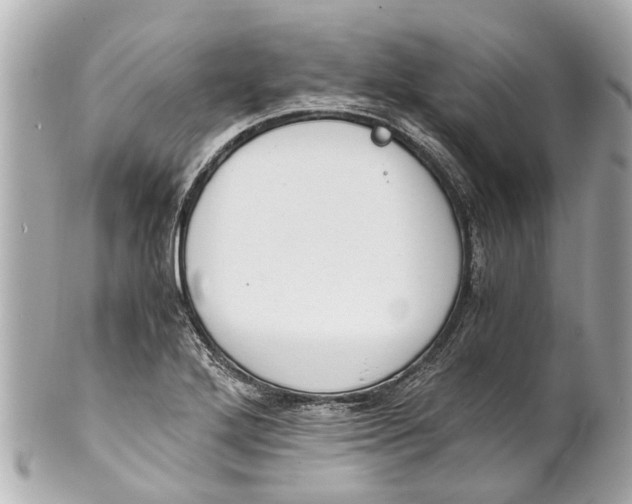 X0000101681272200807311511