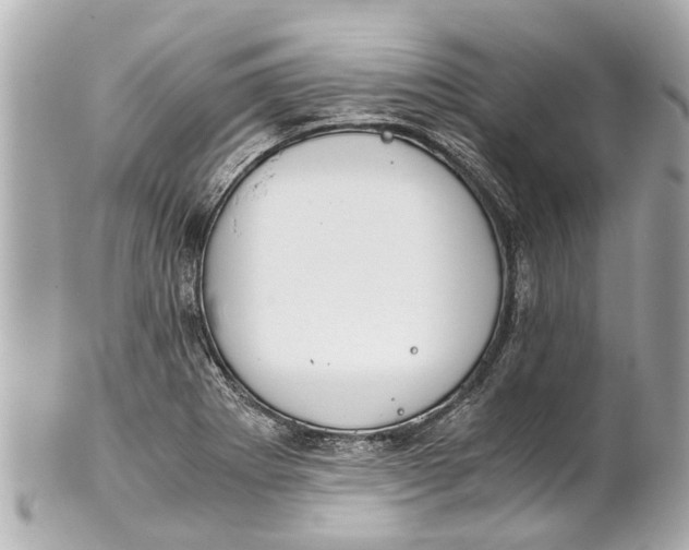 X0000101681273200807311511