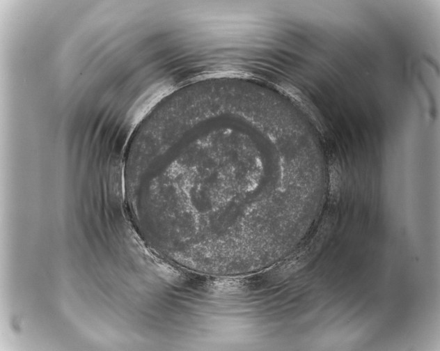 X0000101681274200807311511