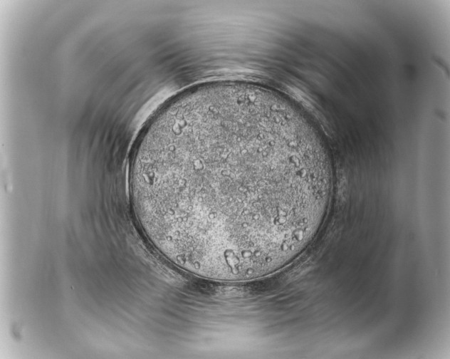 X0000101681275200807311511