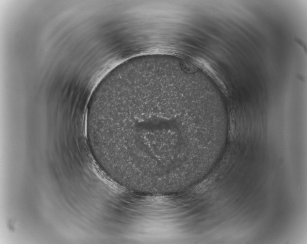 X0000101681276200807311511