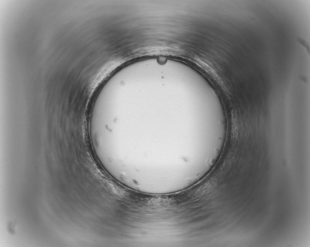 X0000101681277200807311511