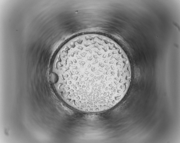 X0000101681278200807311511