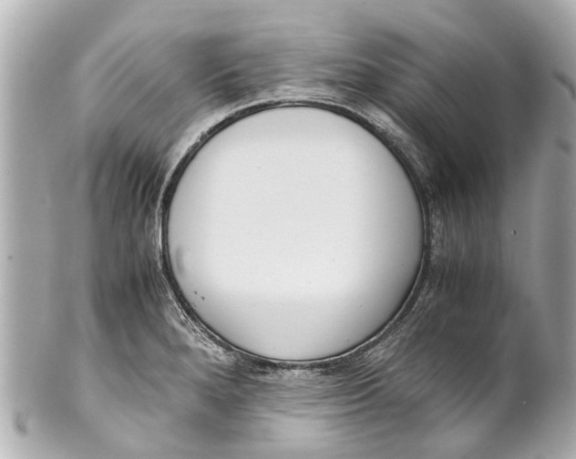 X0000101681280200807311511