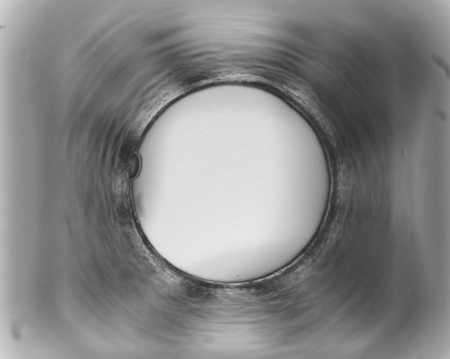 X0000101681281200807311511